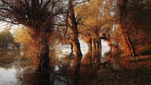 JESENJE JUTRO NA DUNAVCU