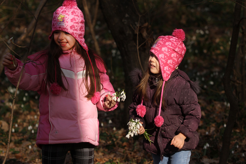 Foto: Tanjug/Jaroslav Pap