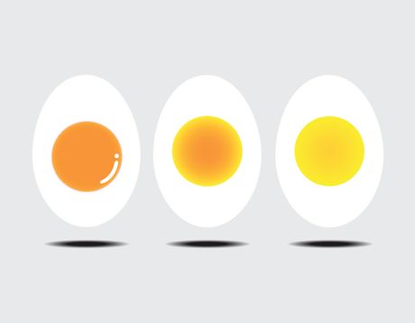 Boja zumanceta, jaja