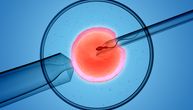 Naučnici zabeležili prvi snimak implantacije ljudskog embriona u matericu: Iznenađujuće je invanzivan