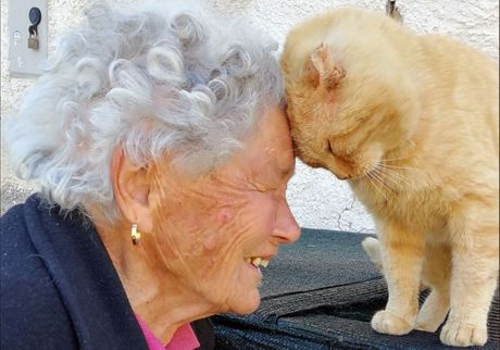 Mačak i starica