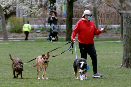 Šetnja pasa, čovek, maska, koronavirus