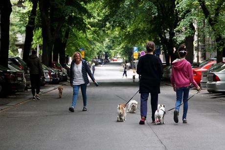 LJUBIMCI MERE POLICIJSKI ČAS ŠETNJA PASA