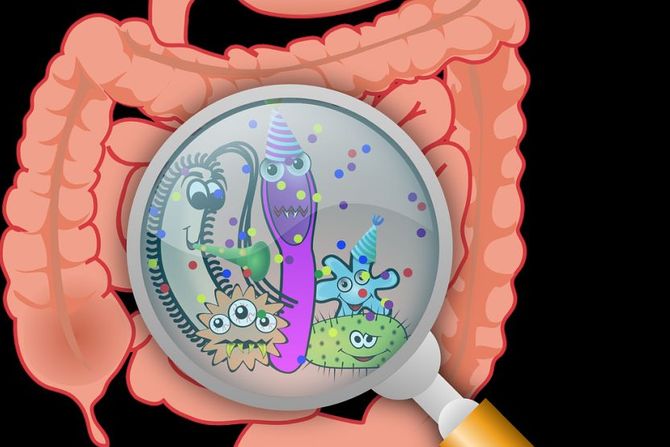 Bakterije u crevima