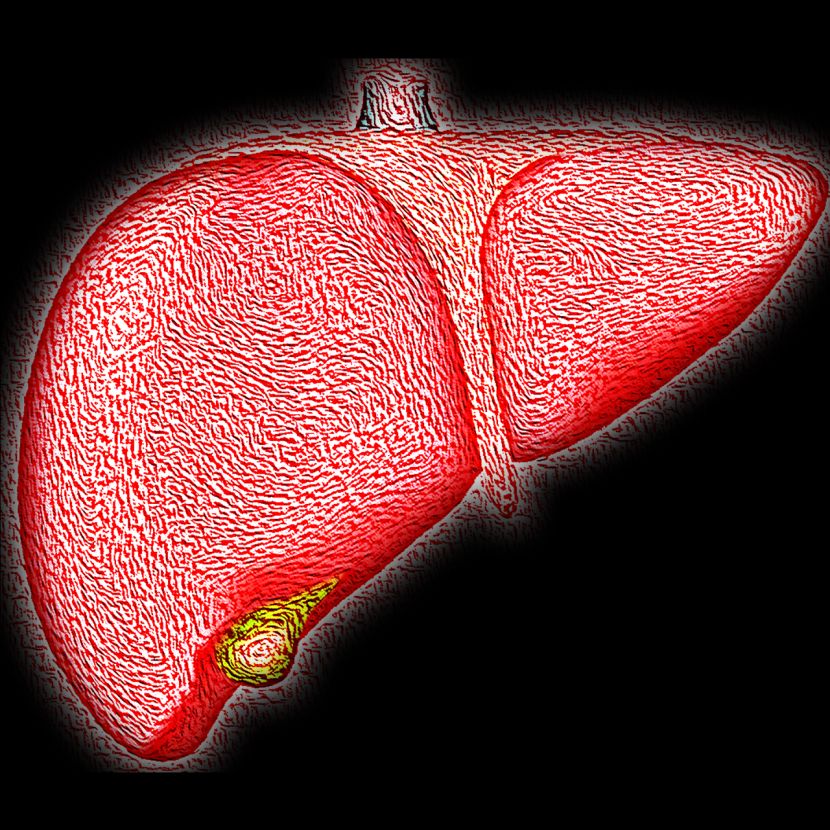 Naučnici istražuju da li bi čestice plastike mogle biti povezane sa značajnim porastom oboljenja jetre