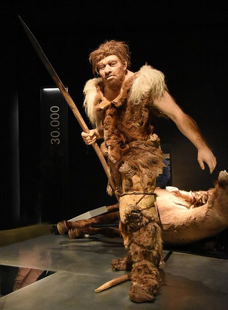 Neandertalci, Neandertalac, Homo neanderthalensis, Praistorija, Praistorijski čovek, Praistorijski ljud