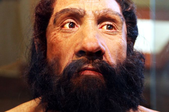 Neandertalci, Neandertalac, Homo neanderthalensis, Praistorija, Praistorijski čovek, Praistorijski ljudi