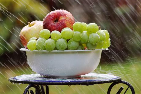 jabuke, grožđe, voće
