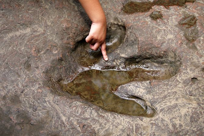 Otisak dinosaurusa