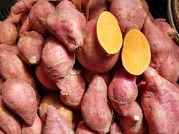 Batat, slatki krompir
