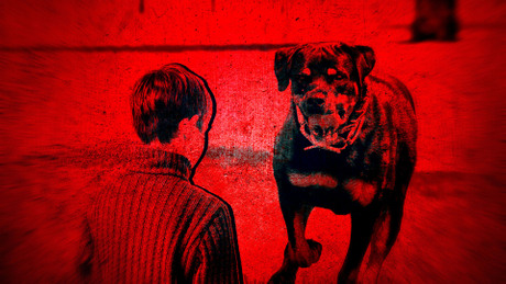 Rotvajler, decak, napad, ugriz