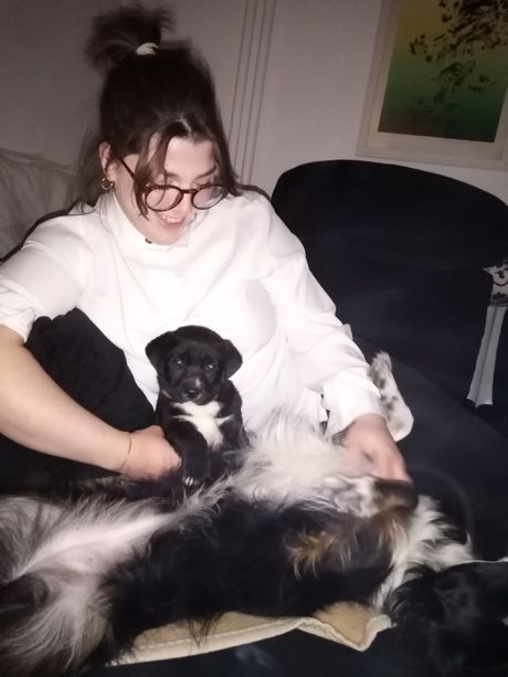 Jedno od odomljenih štenaca