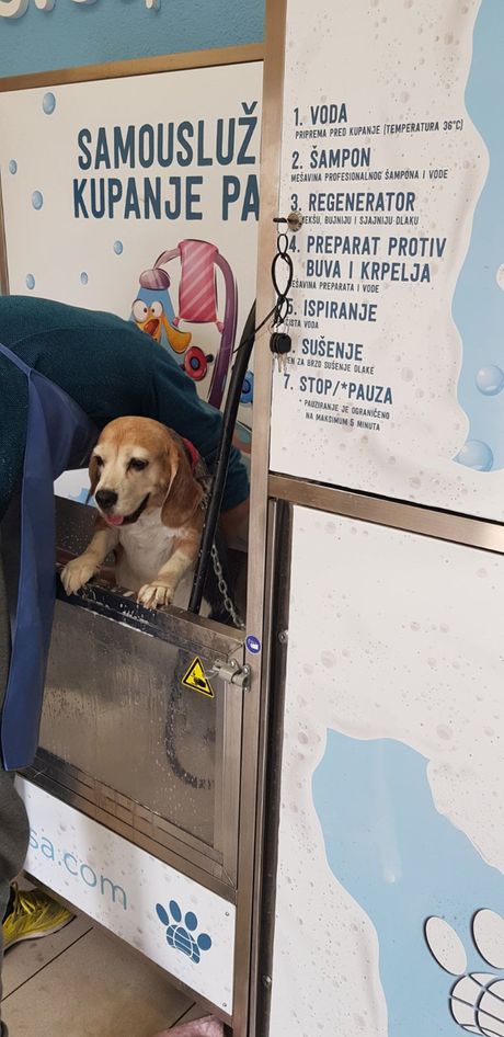 Samouslužno kupanje pasa