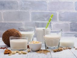 Alternativna mleka vegan kokosovo mleko