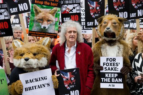 Brian May, Brajan Mej