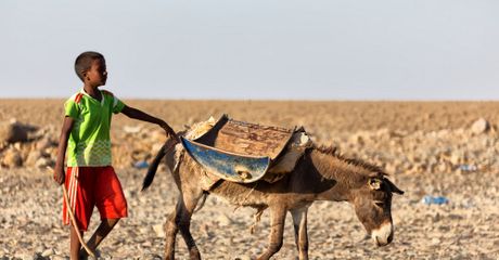 Ethiopia, Etiopija, suša, glad, suva zemlja, neplodna