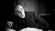 Nosferatu se širi po severu: Sve češće prijave viđenja otrovnog pauka u Nemačkoj