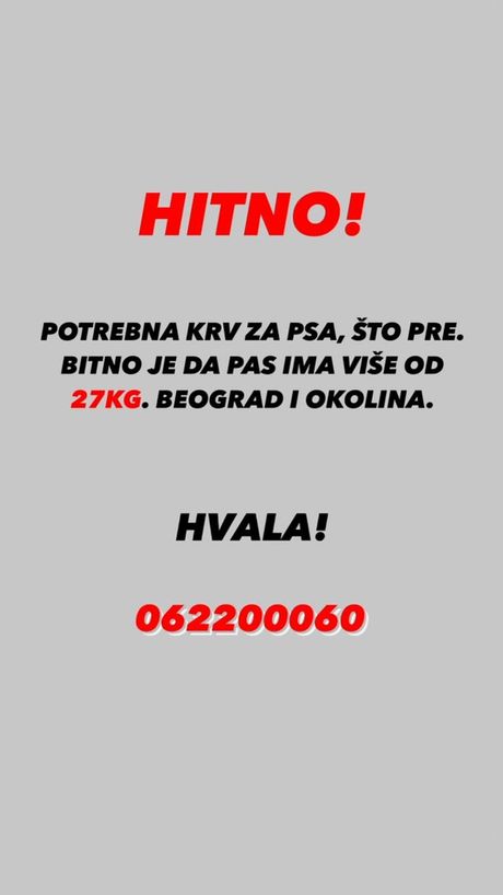 pas transfuzija krvi