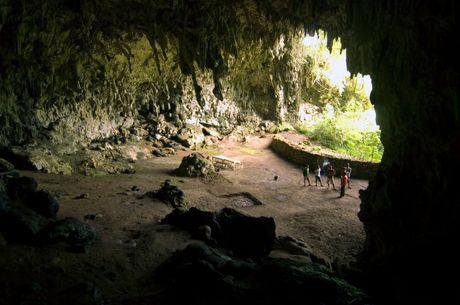 Hobiti, Homo floresiensis