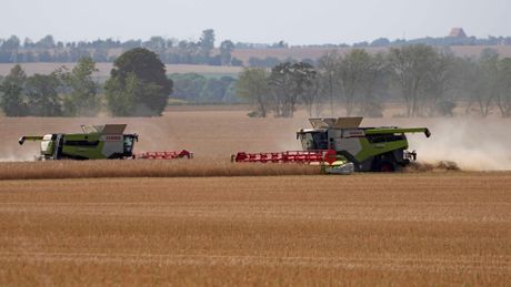 Nemačka, poljoprivreda, zermljoradnja, traktori, kombajni, žetva, seno bale sena