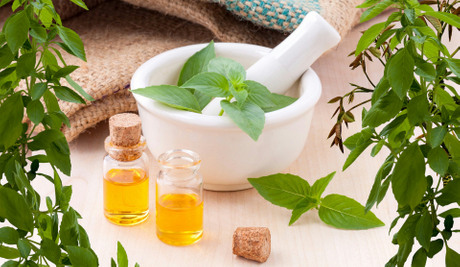 Nana, menta, etericna ulja