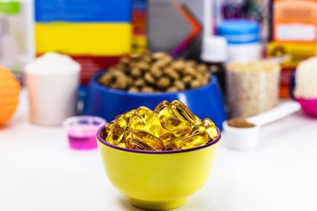 Mačka i suplementi u ishrani