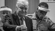 Ko je bio Ratko Mladić?
