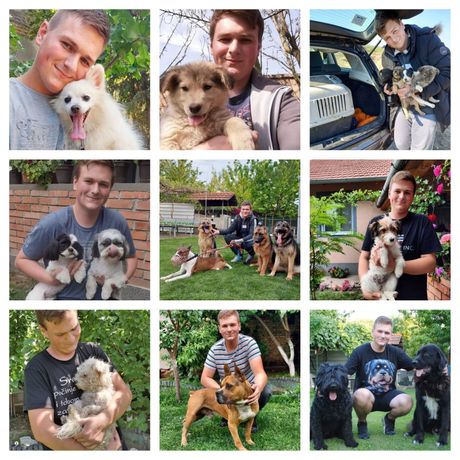 Napuštene životinje u azilu Nikole Stojkovića