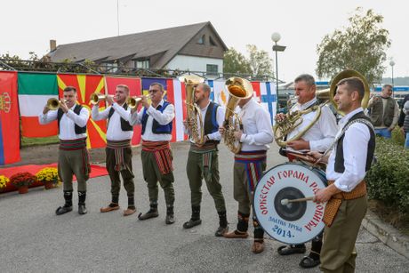 27. Evropski kup pasa goniča