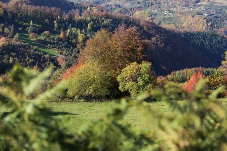 Selo Osonica u Ivanjici