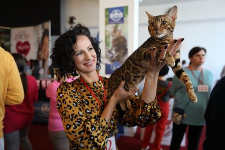 Mrnjau Fest, Hotel Jugoslavija