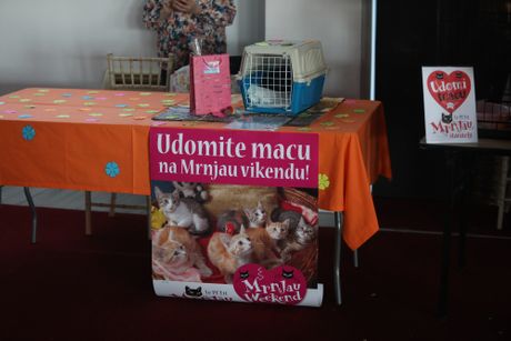 Mrnjau Fest, Hotel Jugoslavija