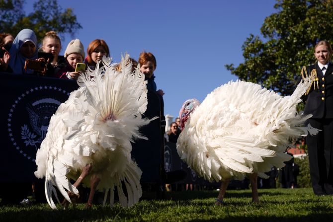 Bajden pomilovao ćurke za Dan zahvalnosti