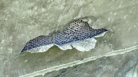 Avionska nesreća, MH370