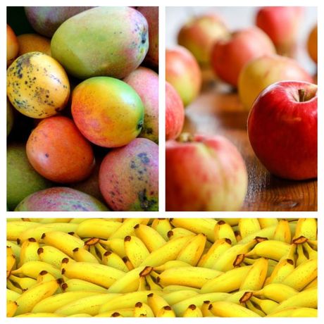 Ptice i njihove poslastice