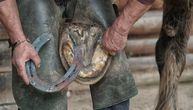 Zašto većina konja nosi “cipele”?