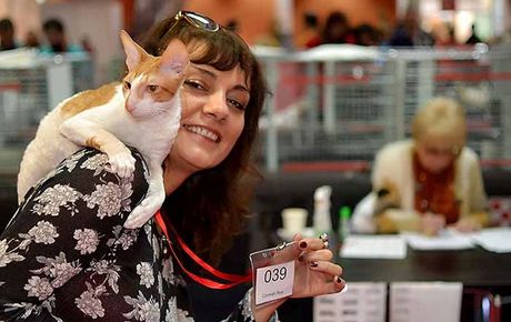 Svetlana Lalović i Rextazy Zlatko