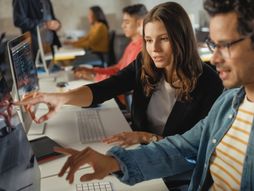 Programeri, programiranje, studenti, posao , biznis