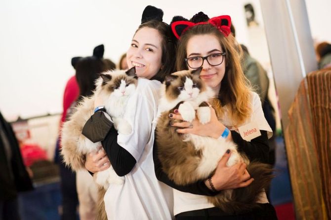 Ljudi i mačke Mrnjau Fest