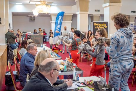 Mrnjau Fest 2023 Beograd