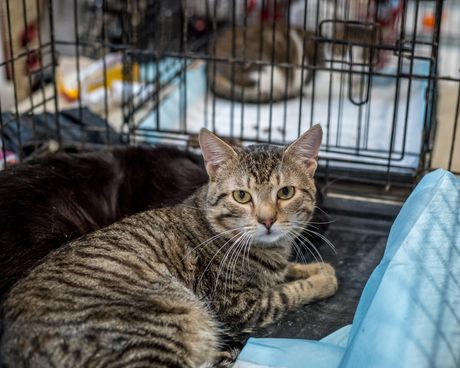 Mrnjau Fest 2023 Beograd