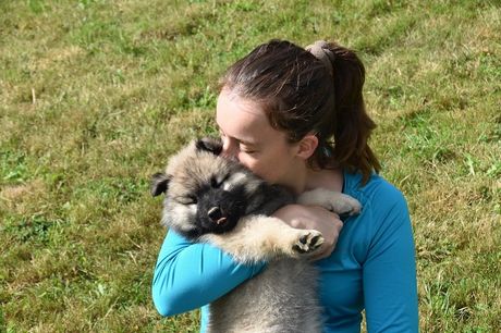 Pas i poljupci i zagrljaji vlasnika