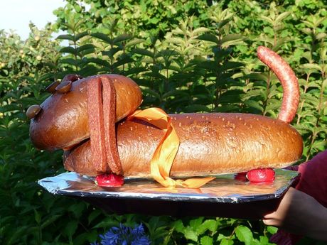 Proslava rođendana psa kućnog ljubimca