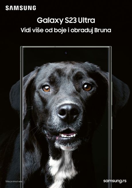 Udomljavanje pasa Samsung