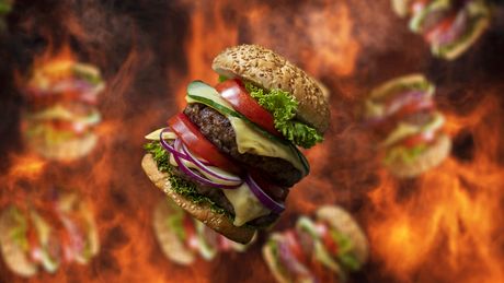 burger burger