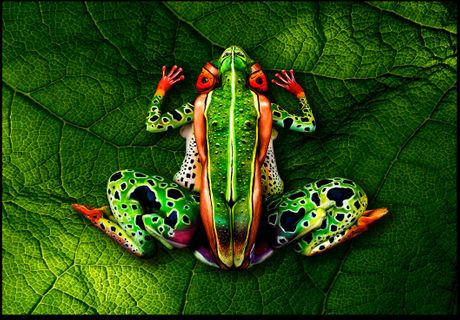 Optička iluzija žaba