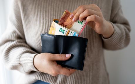 novac, evri, pare, novčanik novac, evri, pare, novčanik