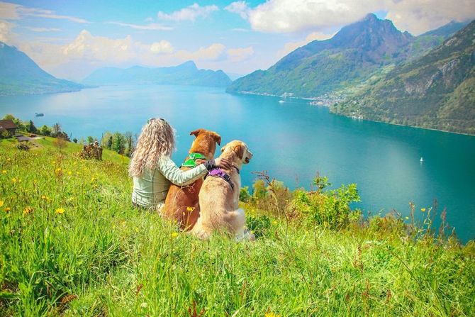 Kako da lakše putujete sa ljubimcem