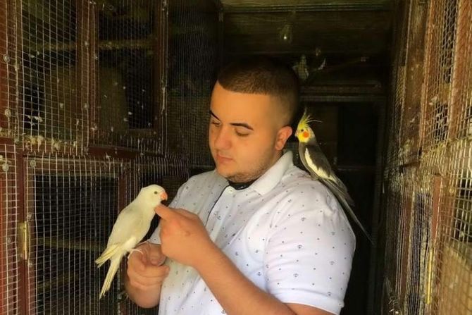 Darko Paunovski odgajivač papagaja