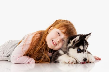 Rase pasa koji se ne slažu najbolje sa decom